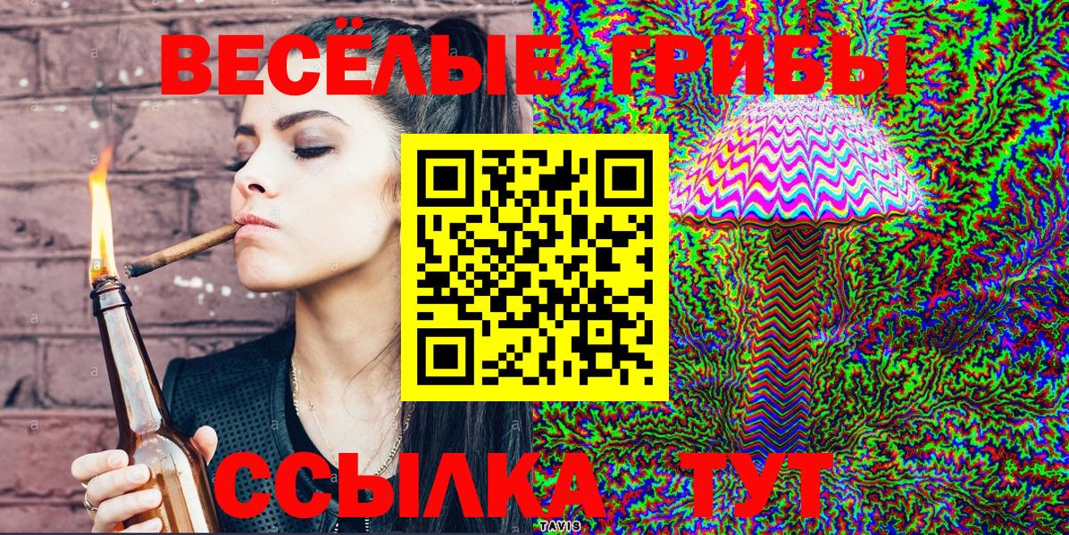 Псилоцибиновые грибы Cubensis  Вход с VPN  Мирный 