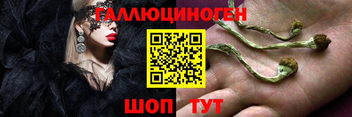 Псилоцибиновые грибы Cubensis Мирный